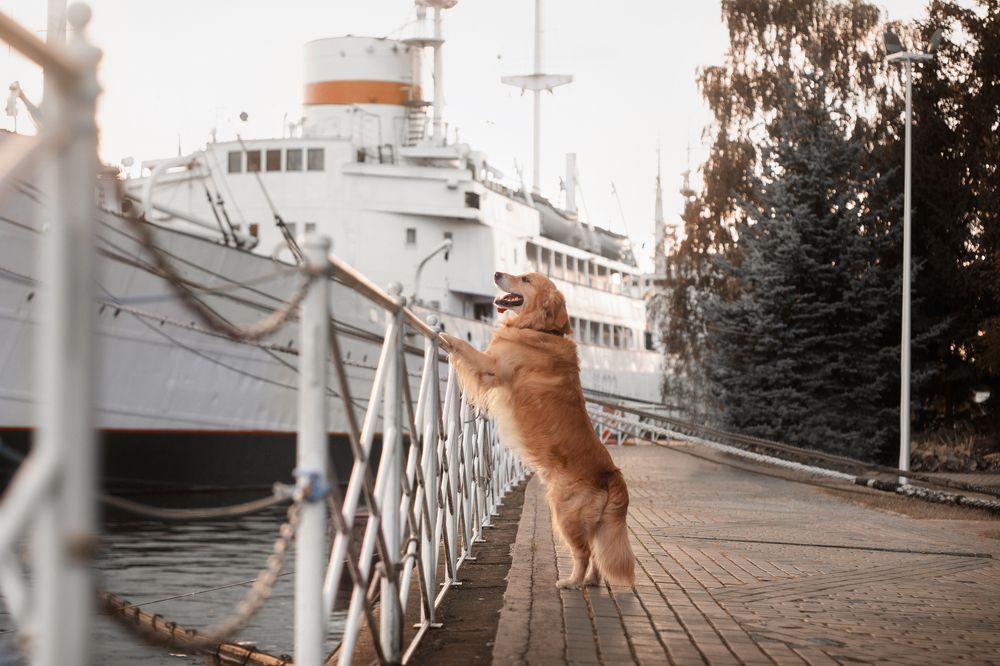 В ожидании...