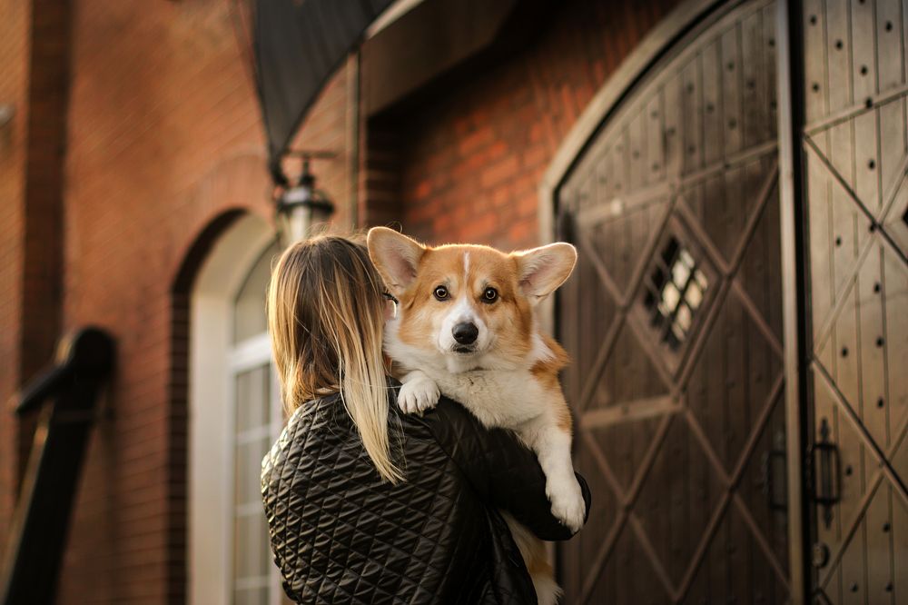 Тритон и его хозяйка