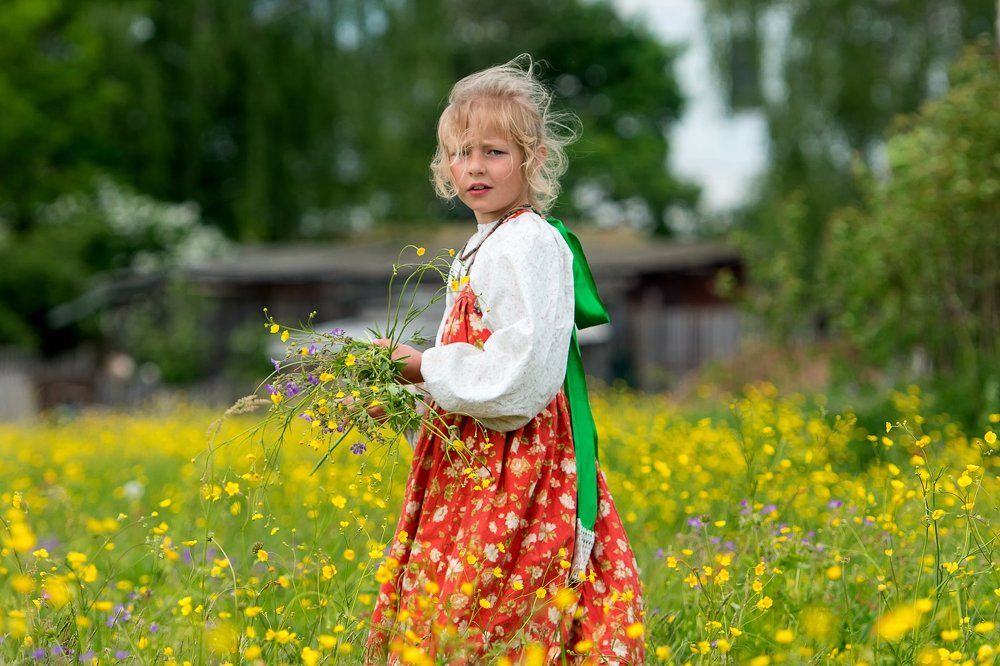 Цветы луговые