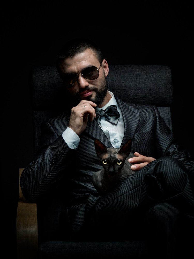 Человек и кошка