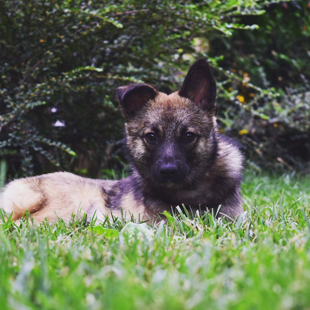 Photograph by Эдуард Спикин
