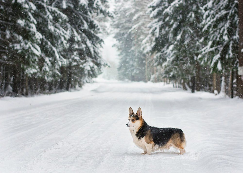 Photograph by Павлова Анастасия