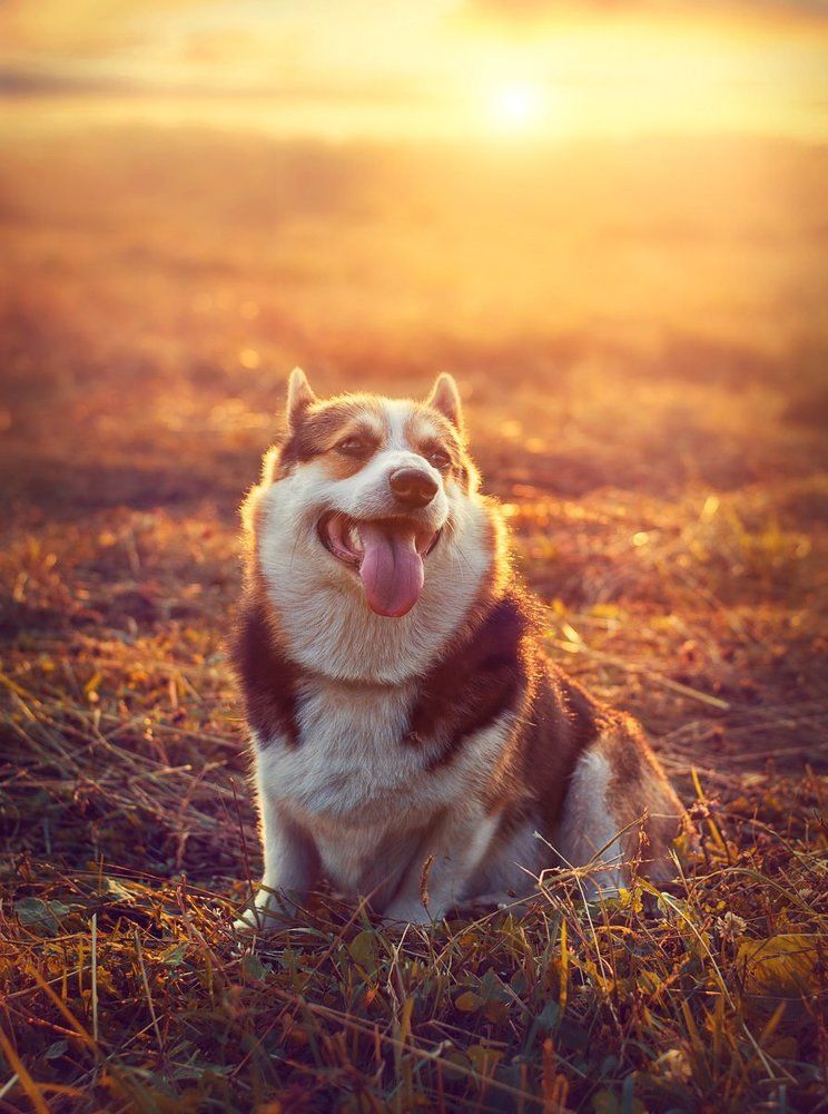 Photograph by Павлова Анастасия