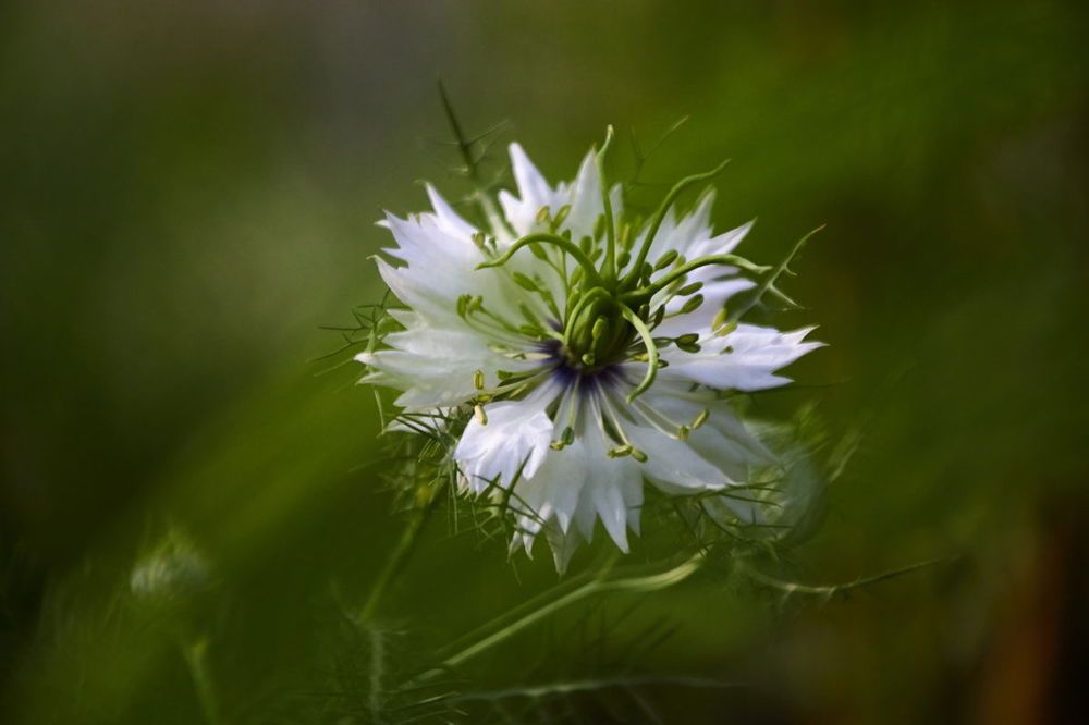 Photograph by Евгений Лобойко