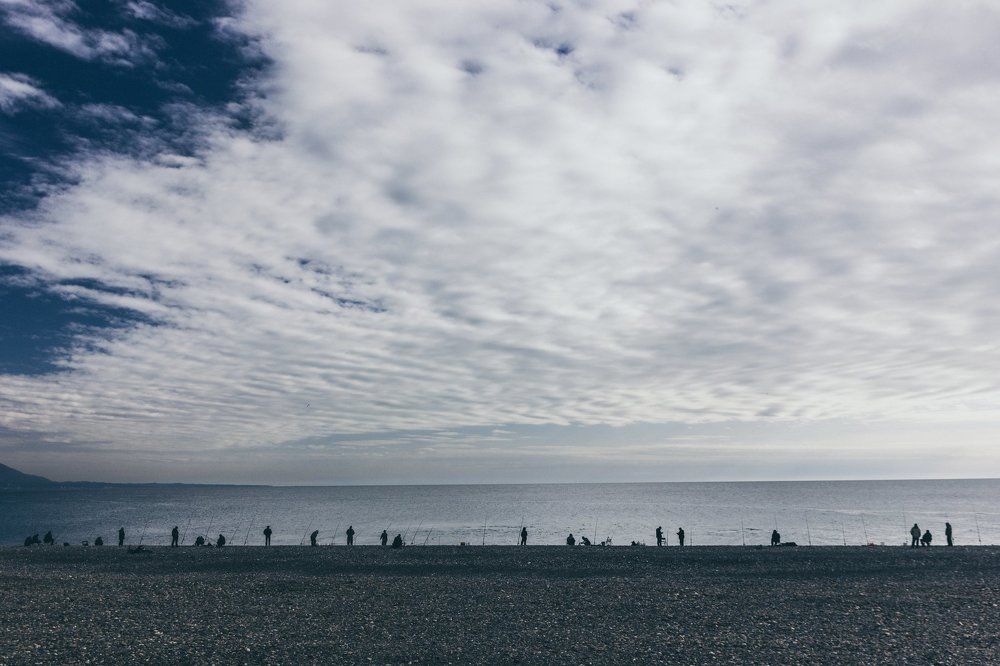 How much is the fish?