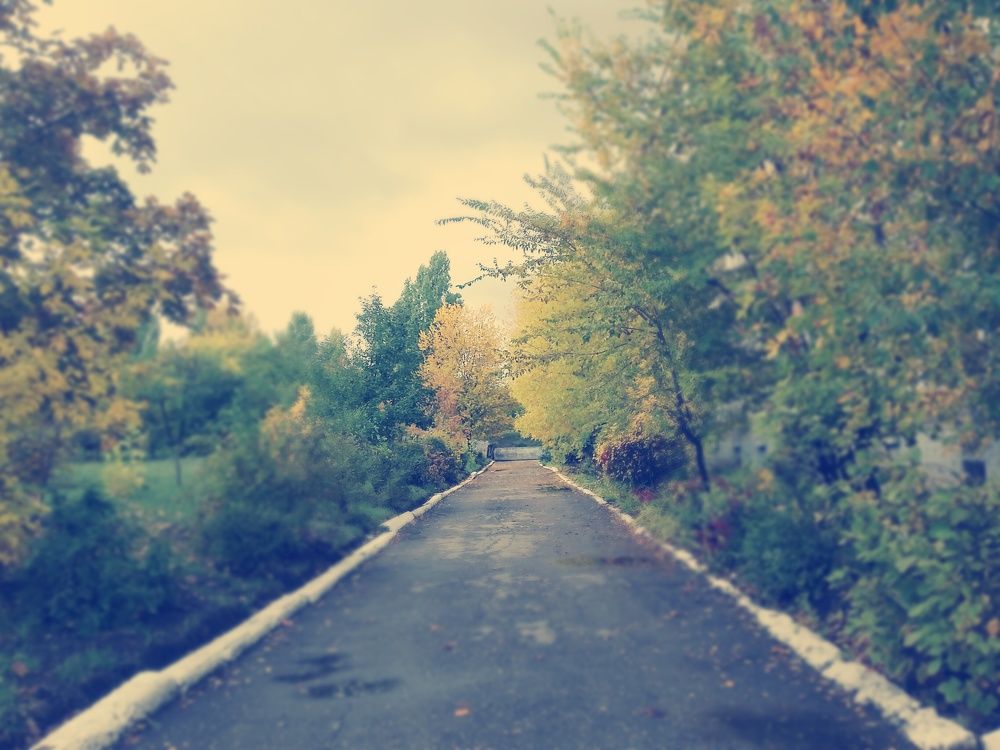 Осень