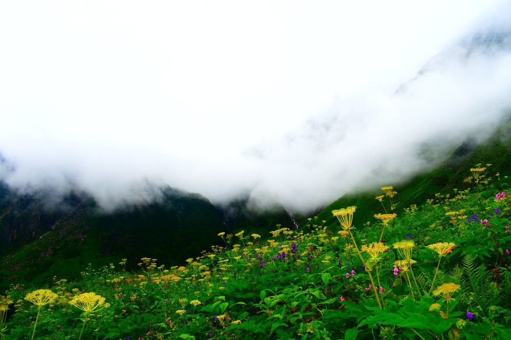 Фотография автора Vijay Richhiya