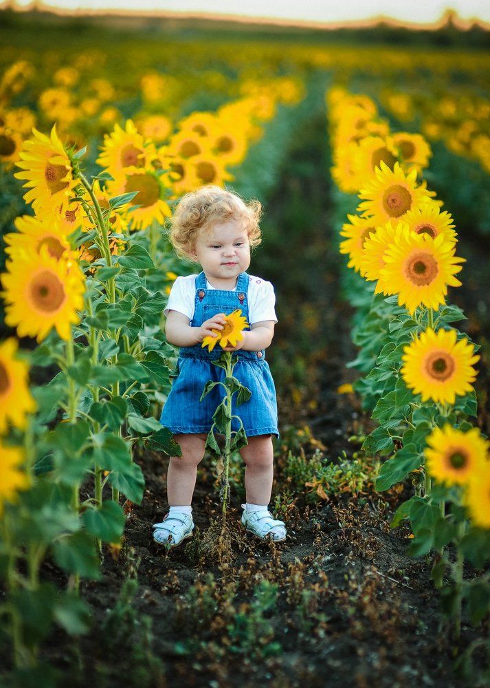 Самый лучший подсолнух