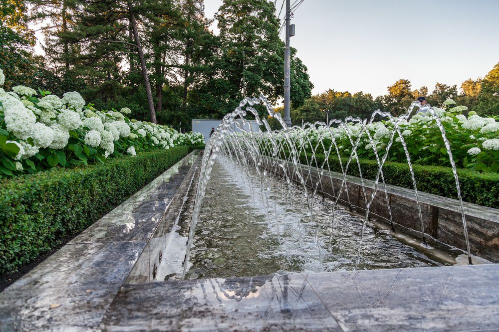 Photograph by Александр Лапшин