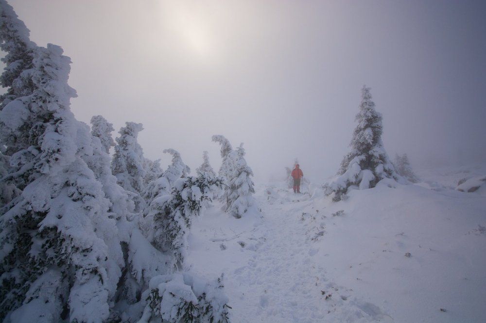 Зимнее солнце.
