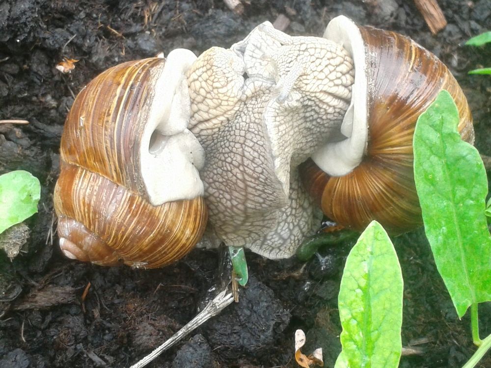 Photograph by Рутковская Жанна