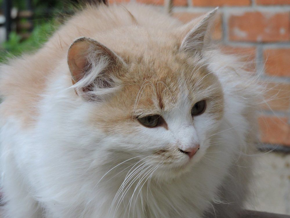 Photograph by Анна Панкратова