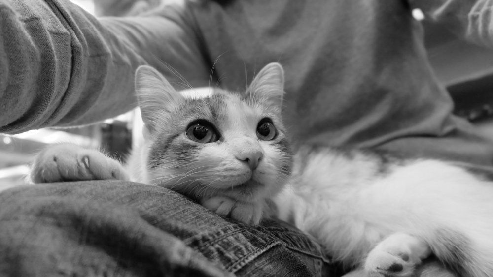 Photograph by Анна Панкратова