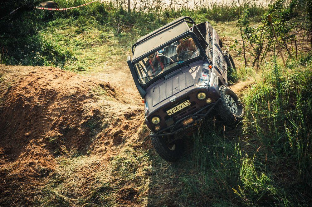 Медвежесть