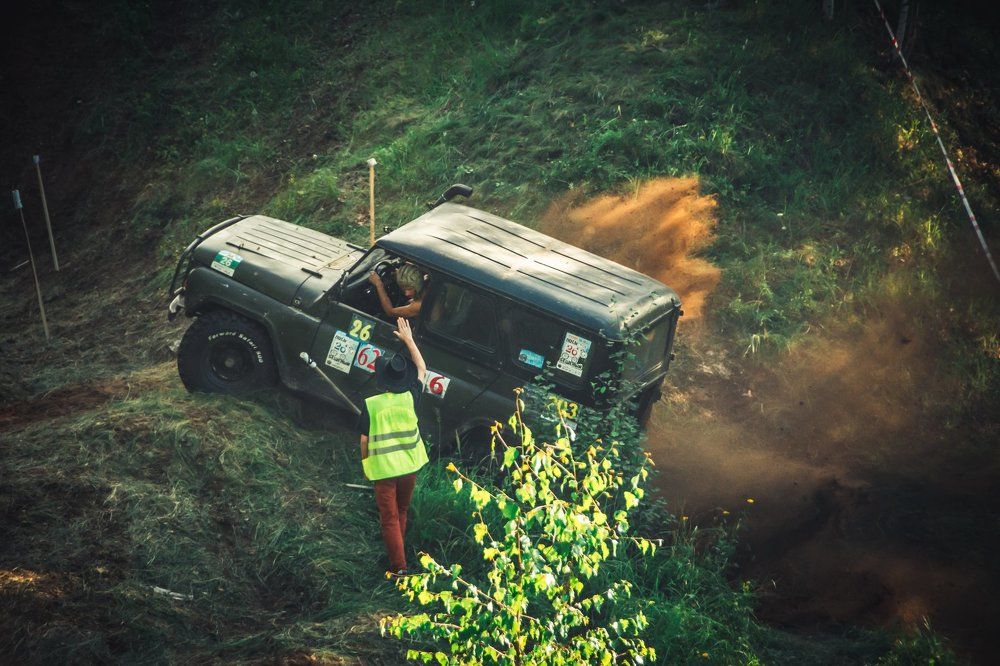 Медвежесть