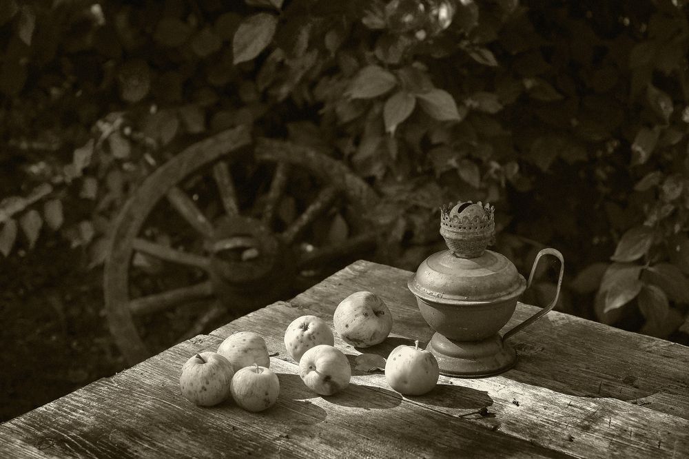 Photograph by Владимир Лосман