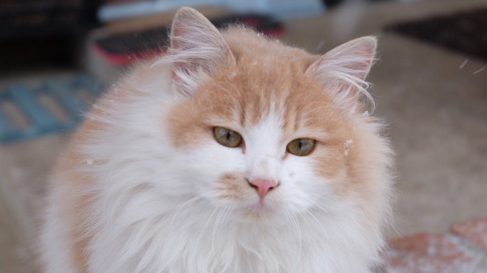 Photograph by Анна Панкратова