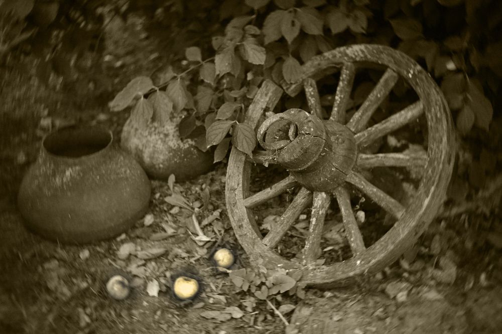 Photograph by Владимир Лосман