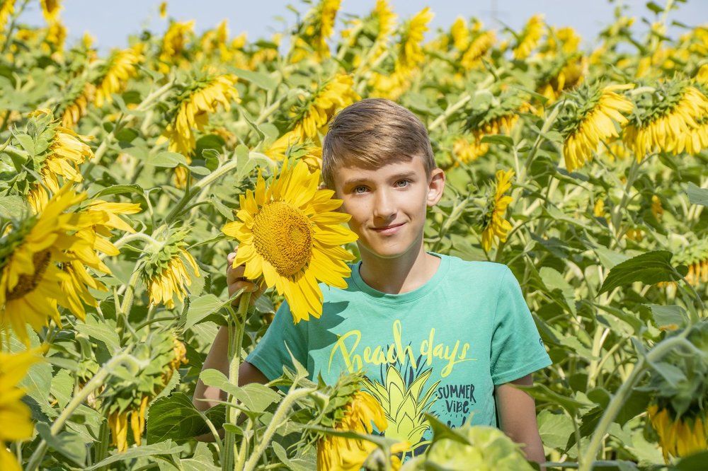 Среди миллионов солнышек....