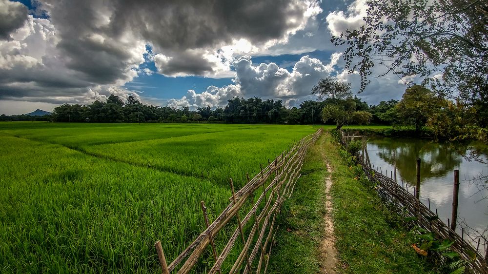 Beauty of my village