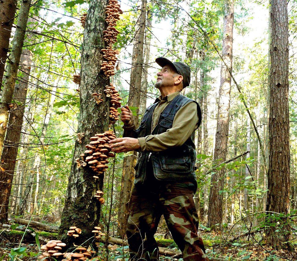 Photograph by леонид натапов