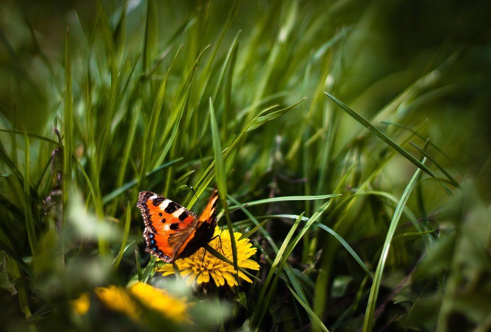 Photograph by Павел Шарников