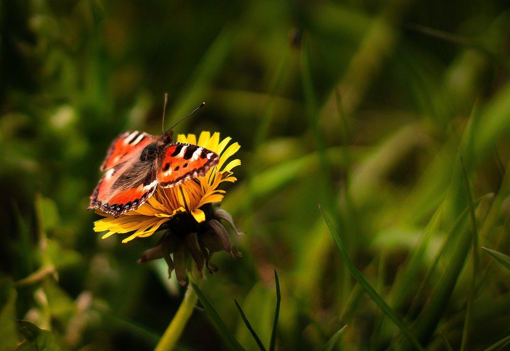 Photograph by Павел Шарников
