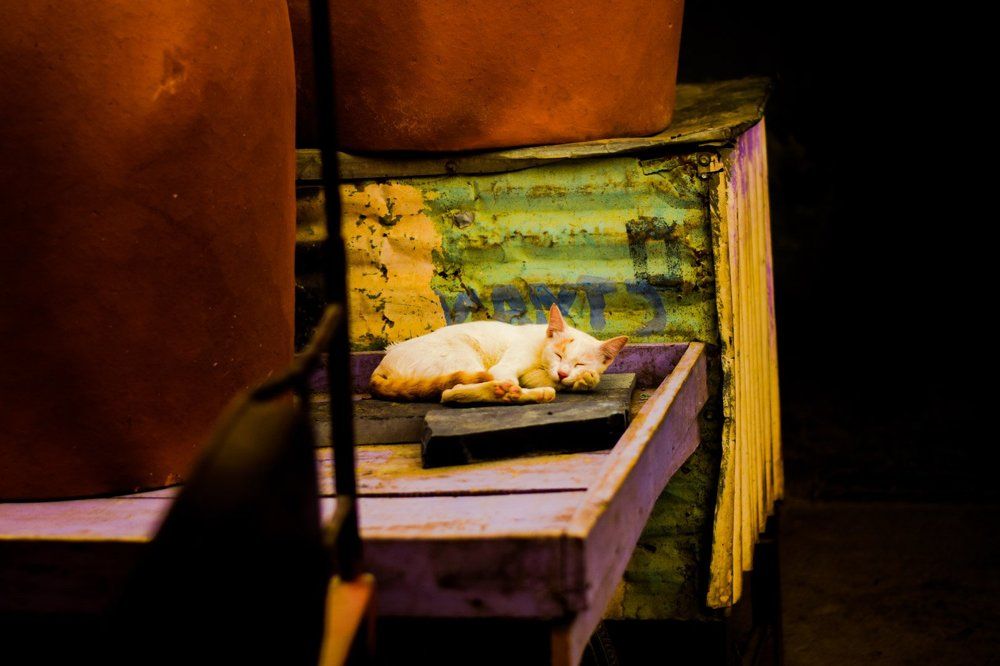 Sleeping baby