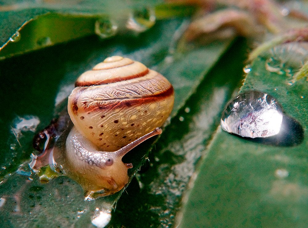 Водный мир.