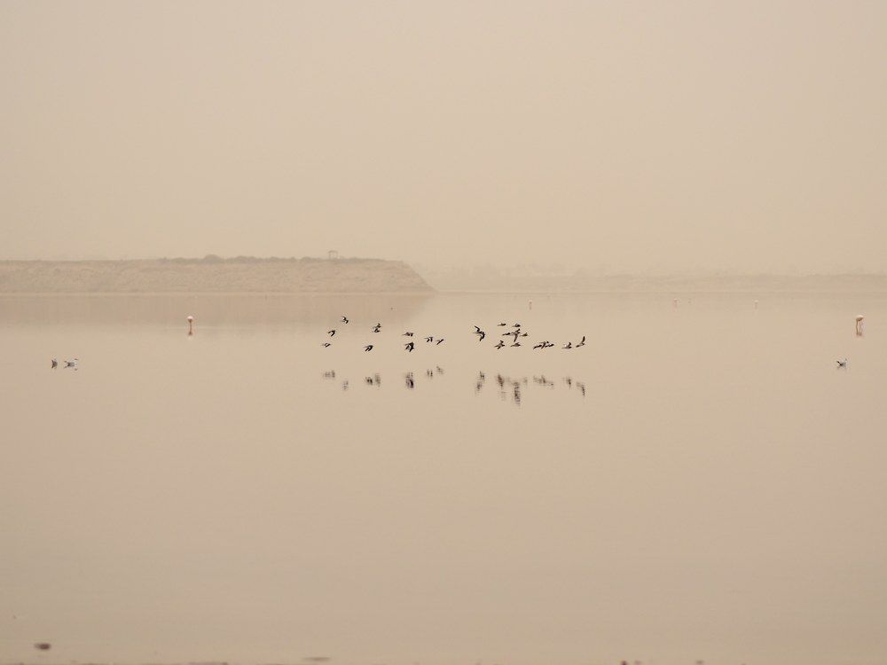 Жёлтый туман над солёным озером.