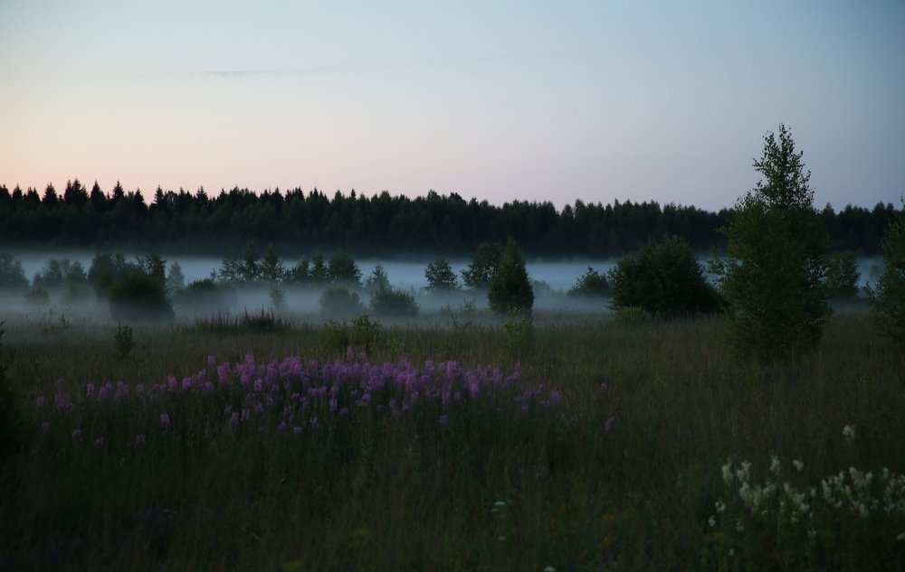 Летний поздний вечер.