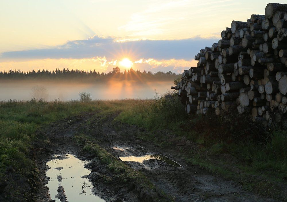 Утренняя звезда.