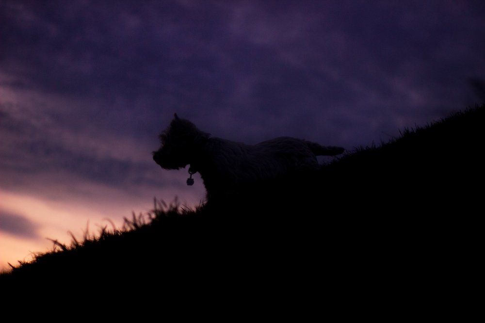 Силуэт на закате