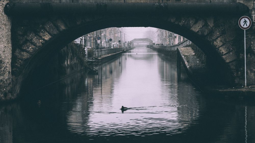 Photograph by Сергей Быков