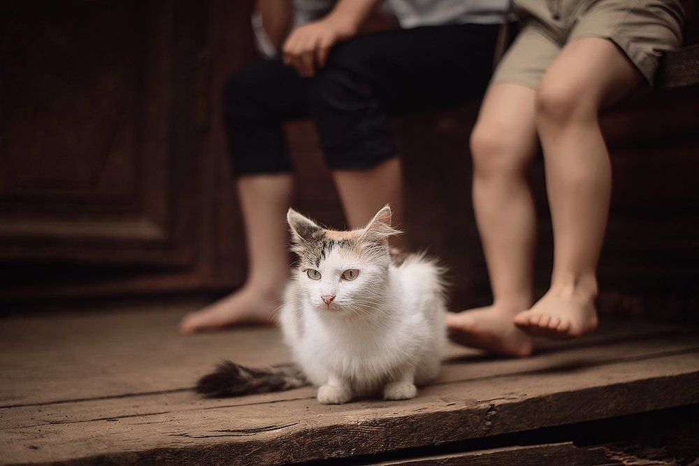 Друг детства