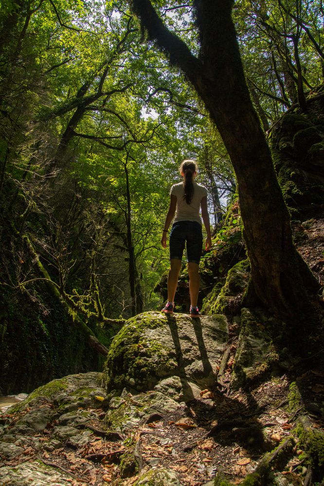 Начало пути. Первый шаг.