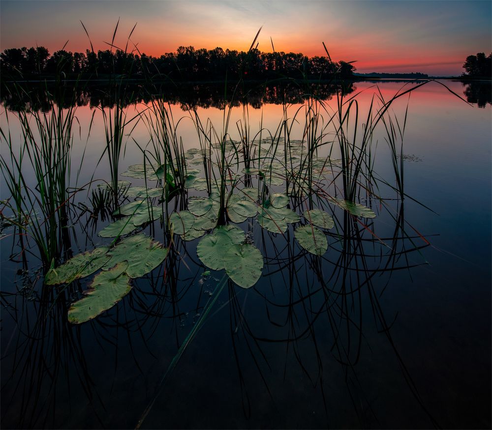 Фотография автора Юрий Юрьев