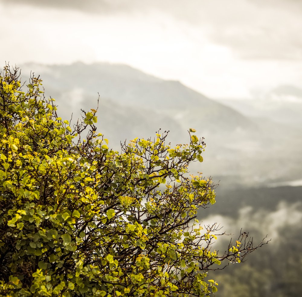Фотография автора Иван Сидоров