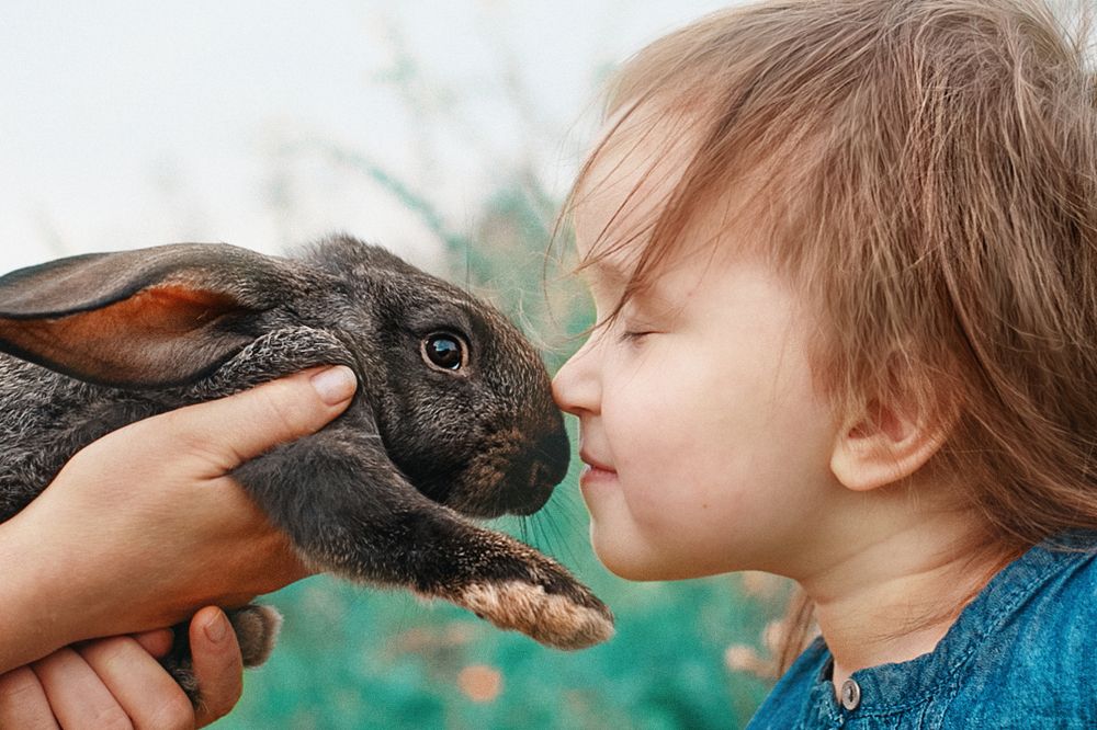 девочка и кролик