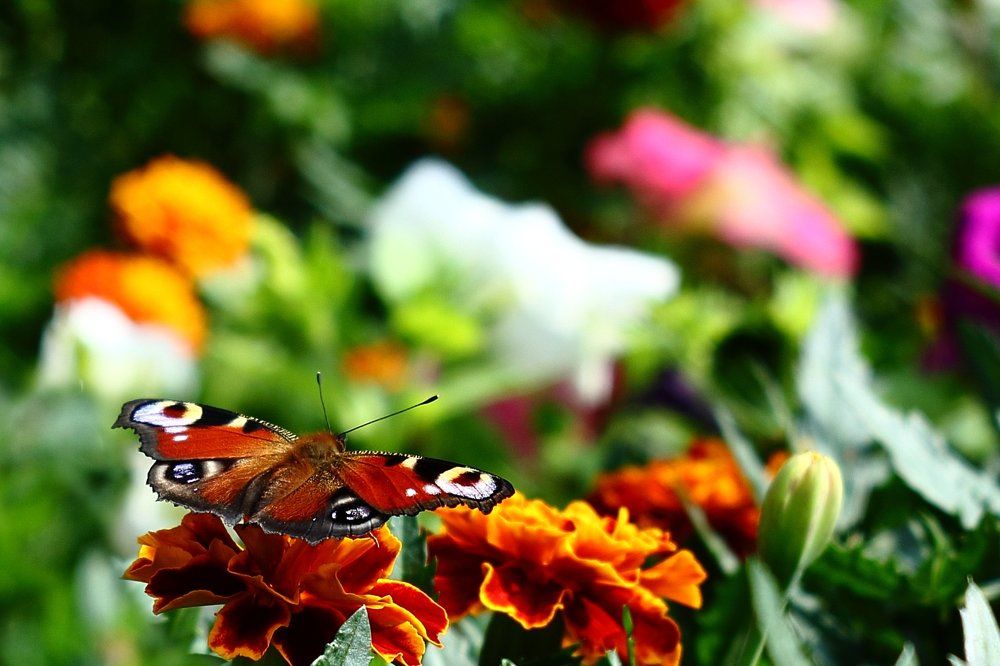 Взгляд на мир.