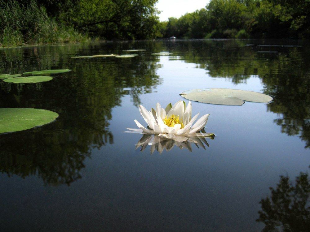 Photograph by Людмила М