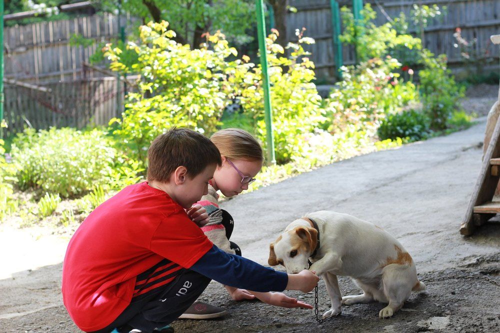 Фотография автора Marina Samarina