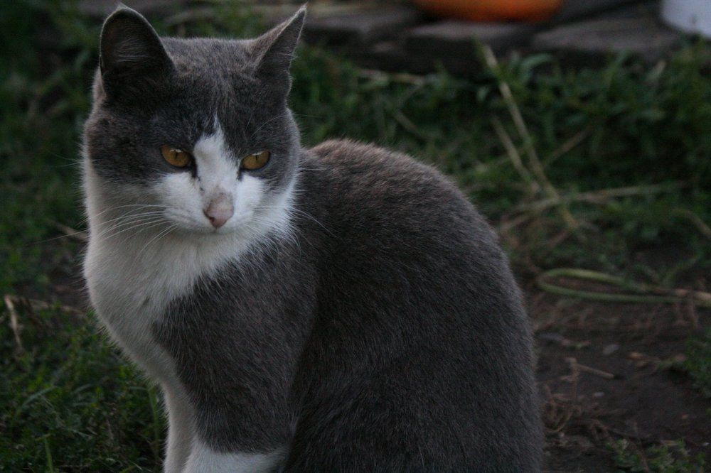 Photograph by Варвара