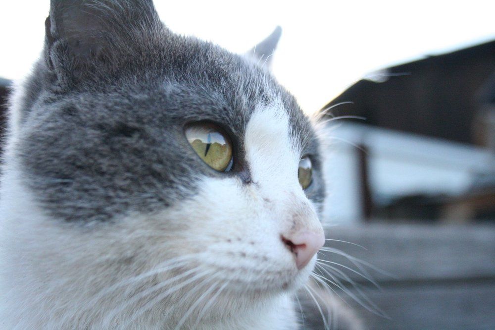 Photograph by Варвара