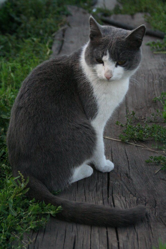 Photograph by Варвара