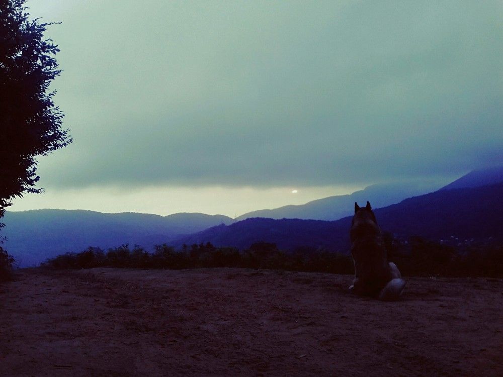 Photograph by Эльвира
