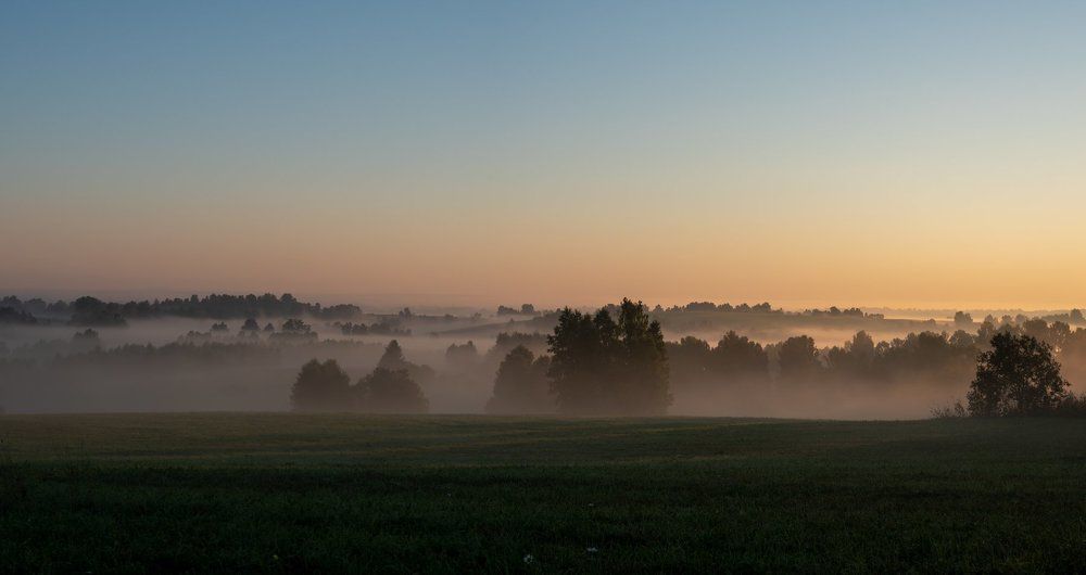 Оранжевое утро