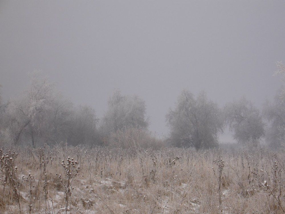 Туман рассеивается