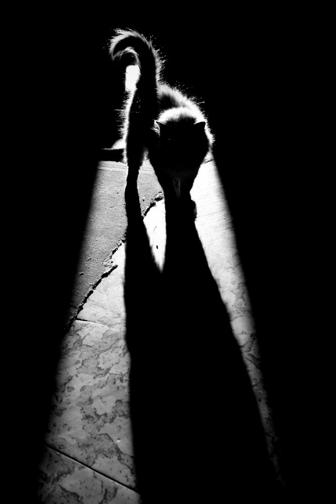 Первое весеннее солнышко