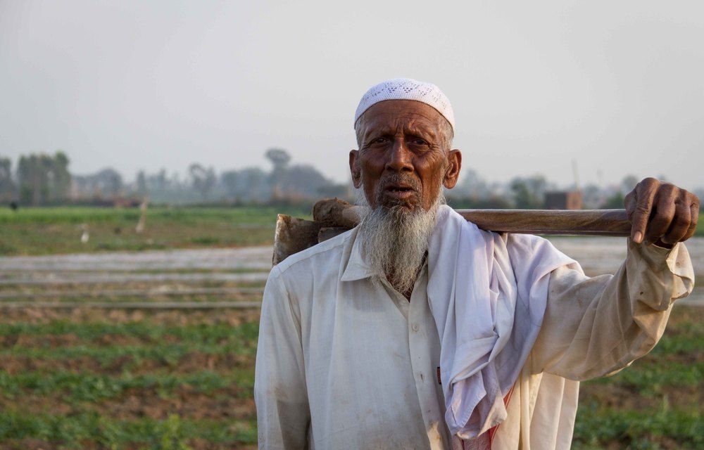 A Portrait of Farmer